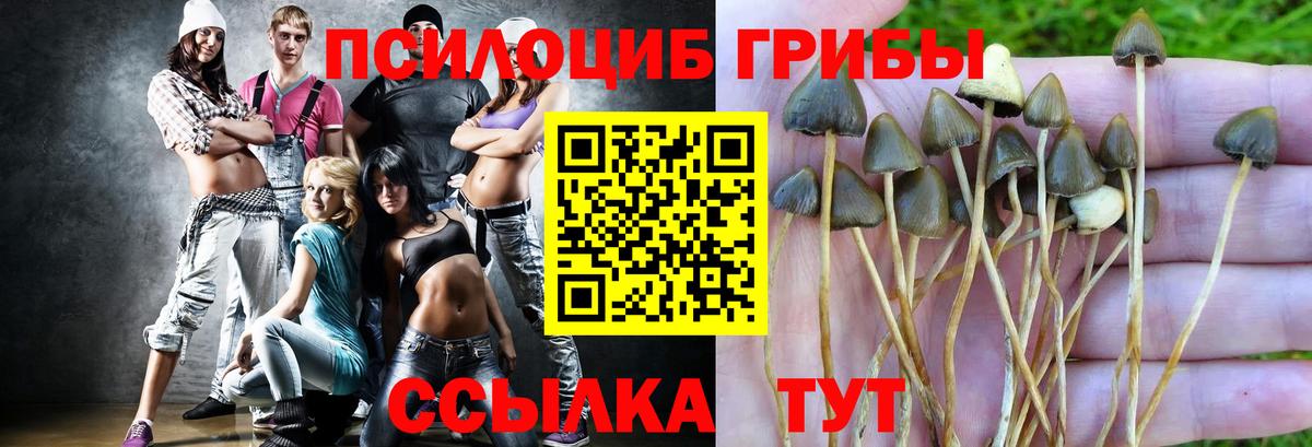 Галлюциногенные грибы мицелий Красноперекопск