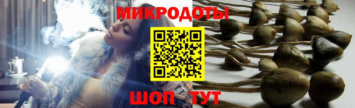 Красноперекопск  Галлюциногенные грибы Psilocybine cubensis  купить  сайты  Псилоцибиновые грибы Psilocybine cubensis  Вход с VPN 